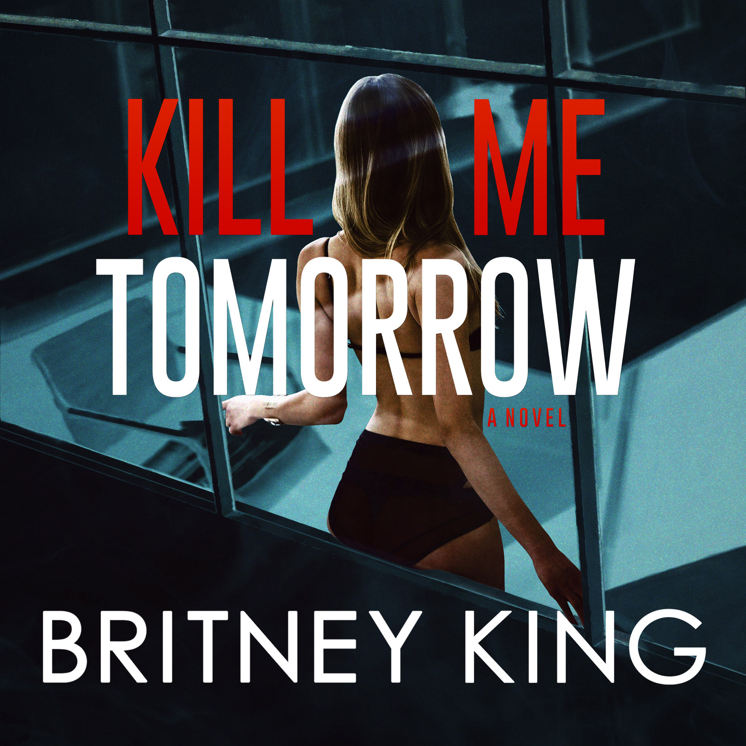 Kill Me Tomorrow Audiobook